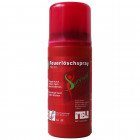 Fettbrand-Lschspray 150 ml FS150