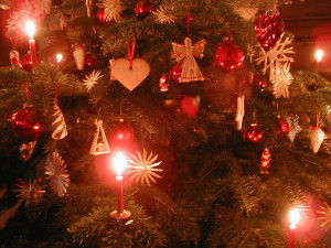 Tannenbaum / Christbaum Dirk Haun